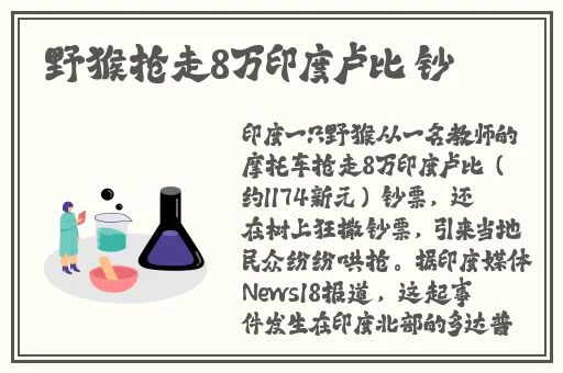 老少配BBW性仙踪林