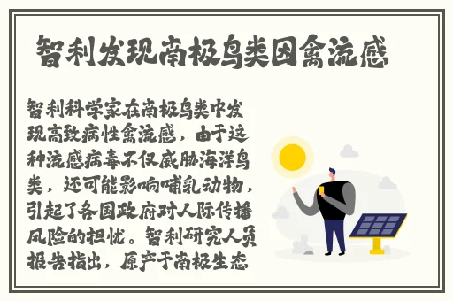 X8X8拨牐拨牐X8免费视频8文字